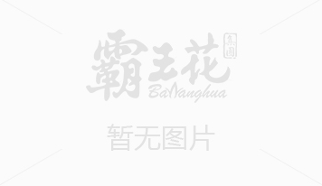 “霸王花”牌系列米排粉獲得“河源市首屆農(nóng)業(yè)金牌產(chǎn)品”稱號(hào)