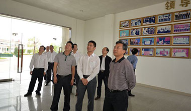 省農業廳副廳長牛寶俊蒞臨霸王花食品公司檢查指導工作