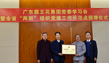 廣東霸王花集團(tuán)黨委開展學(xué)習(xí)會(huì)暨全省“兩新”組織黨建示范點(diǎn)授牌儀式