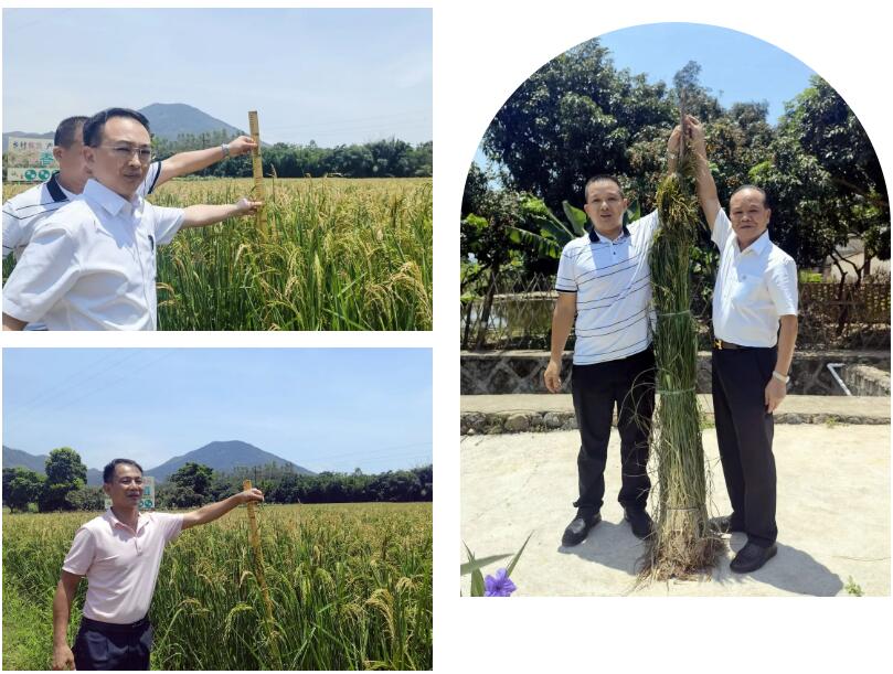 1658157376500942.jpg QQ截圖20220718231557.jpg